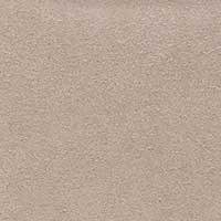 The Attilia - Image 8