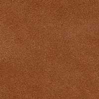 The Attilia - Image 8