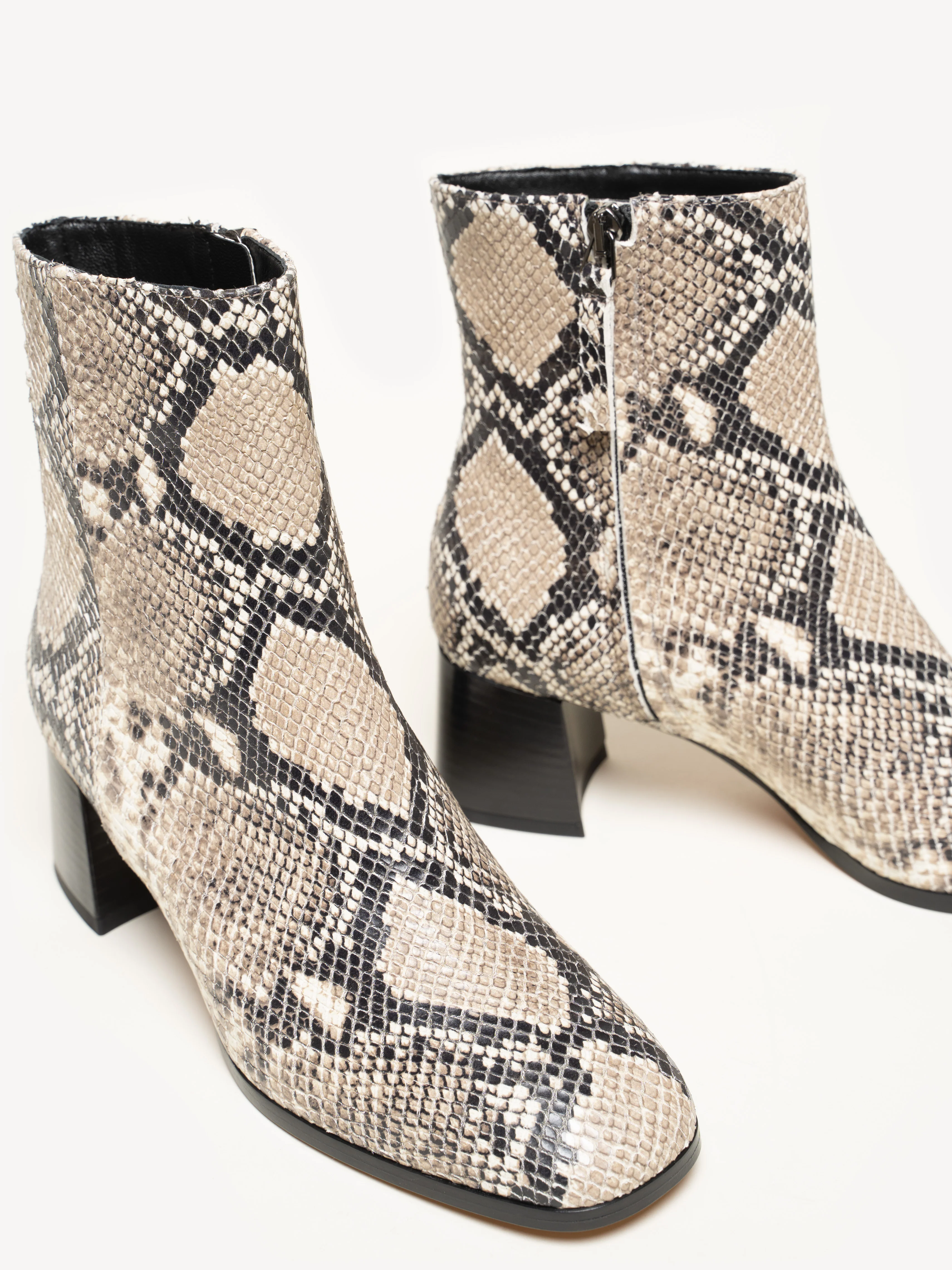 The Cristina - Image 4