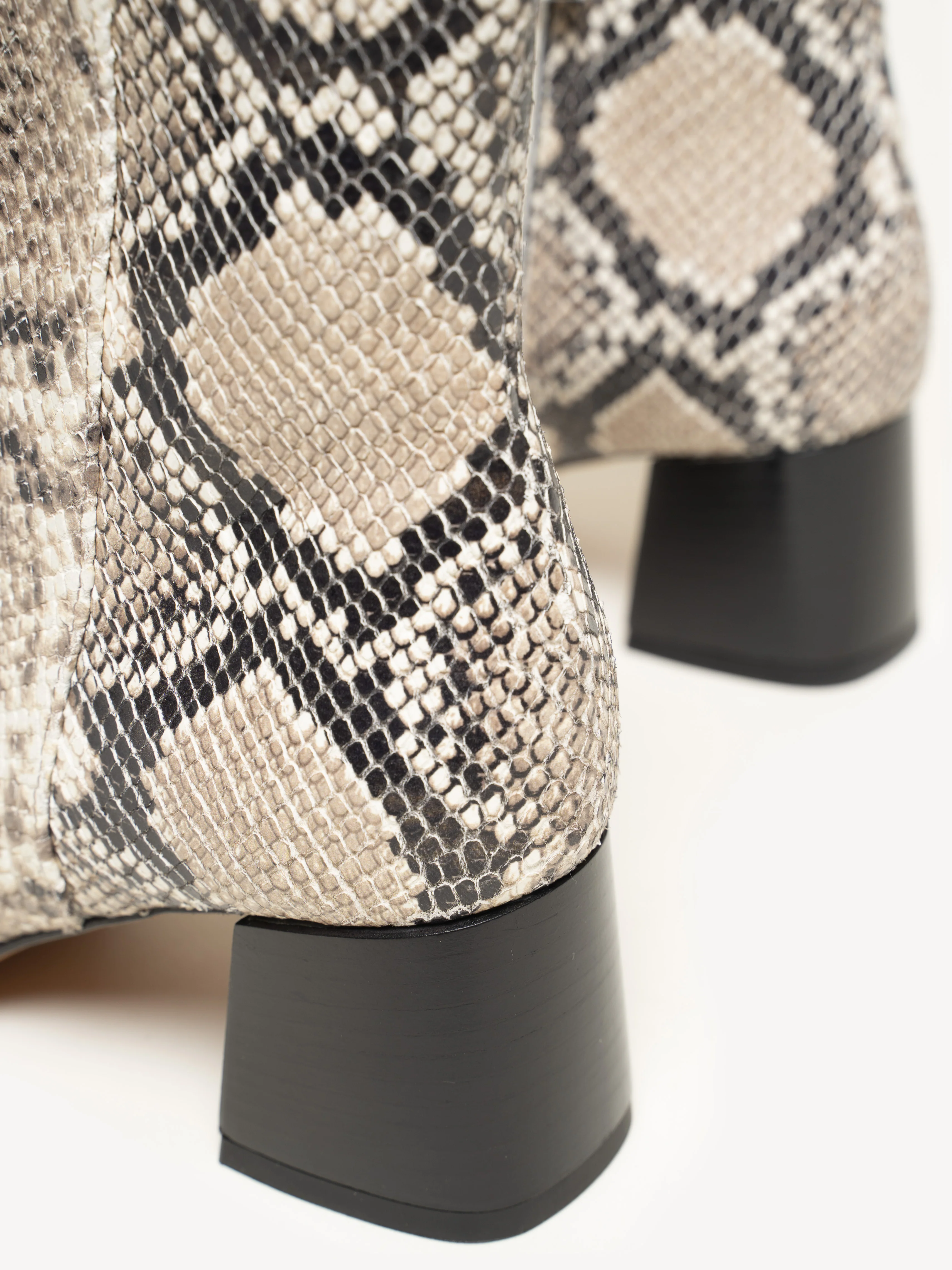 The Cristina - Image 5