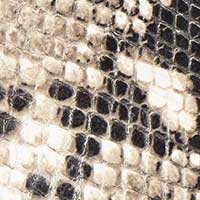 The Cristina - Image 7