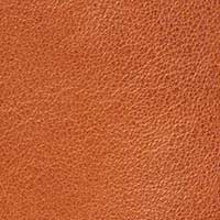 The Cristina - Image 7