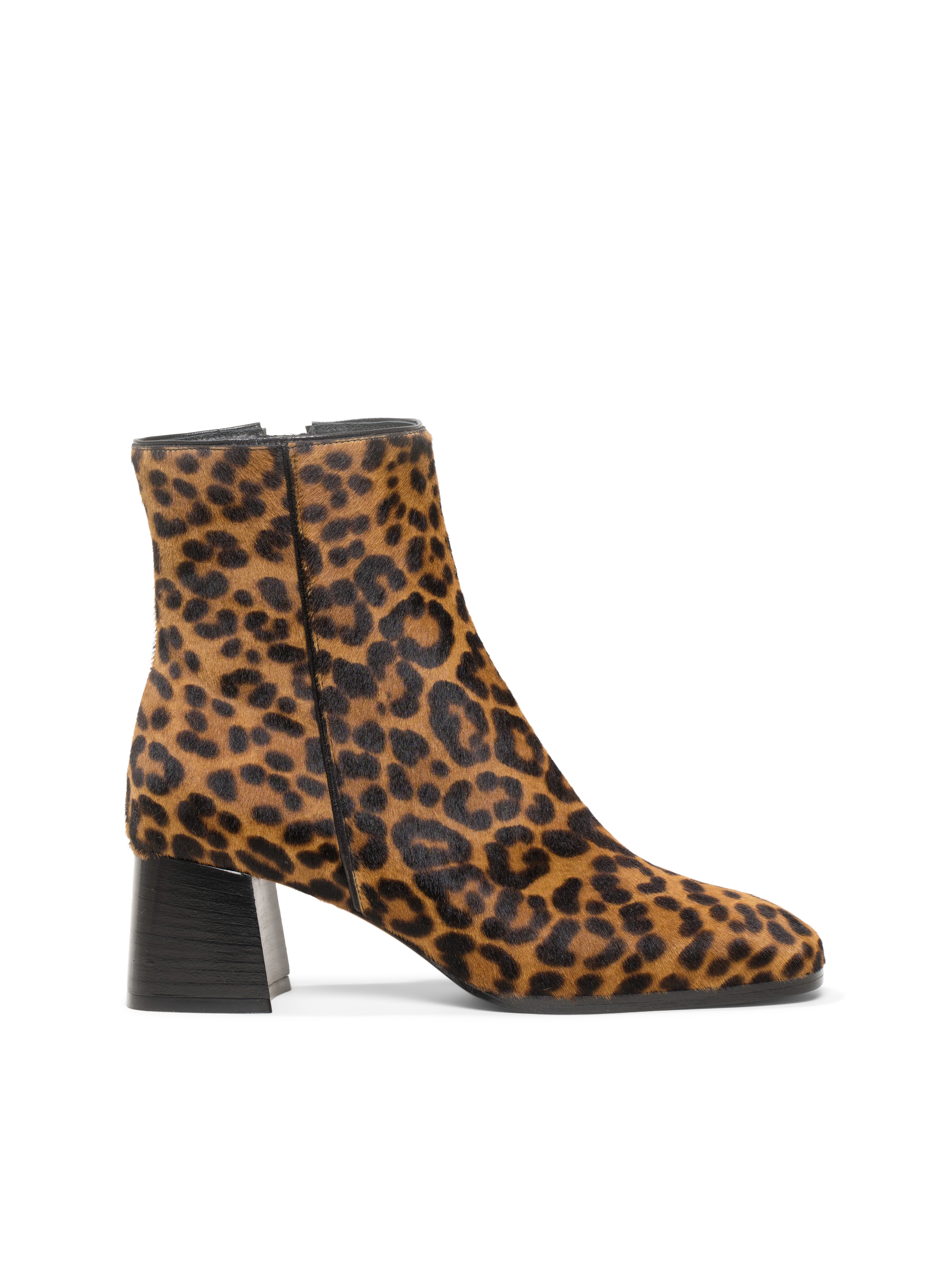 The Cristina - Image 11