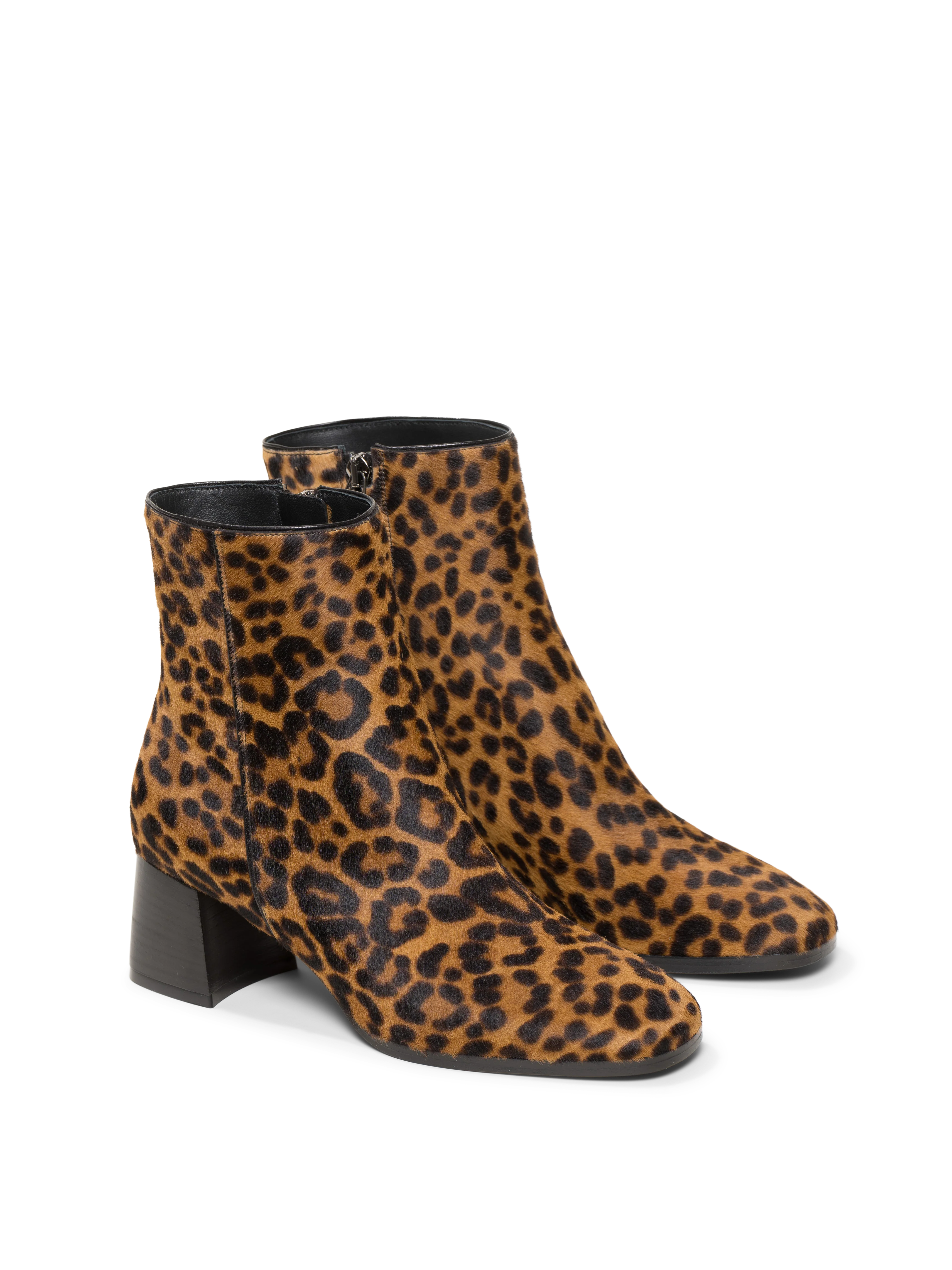 The Cristina - Image 12