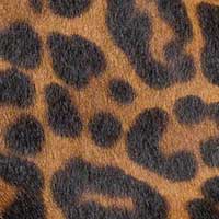 The Cristina - Image 7