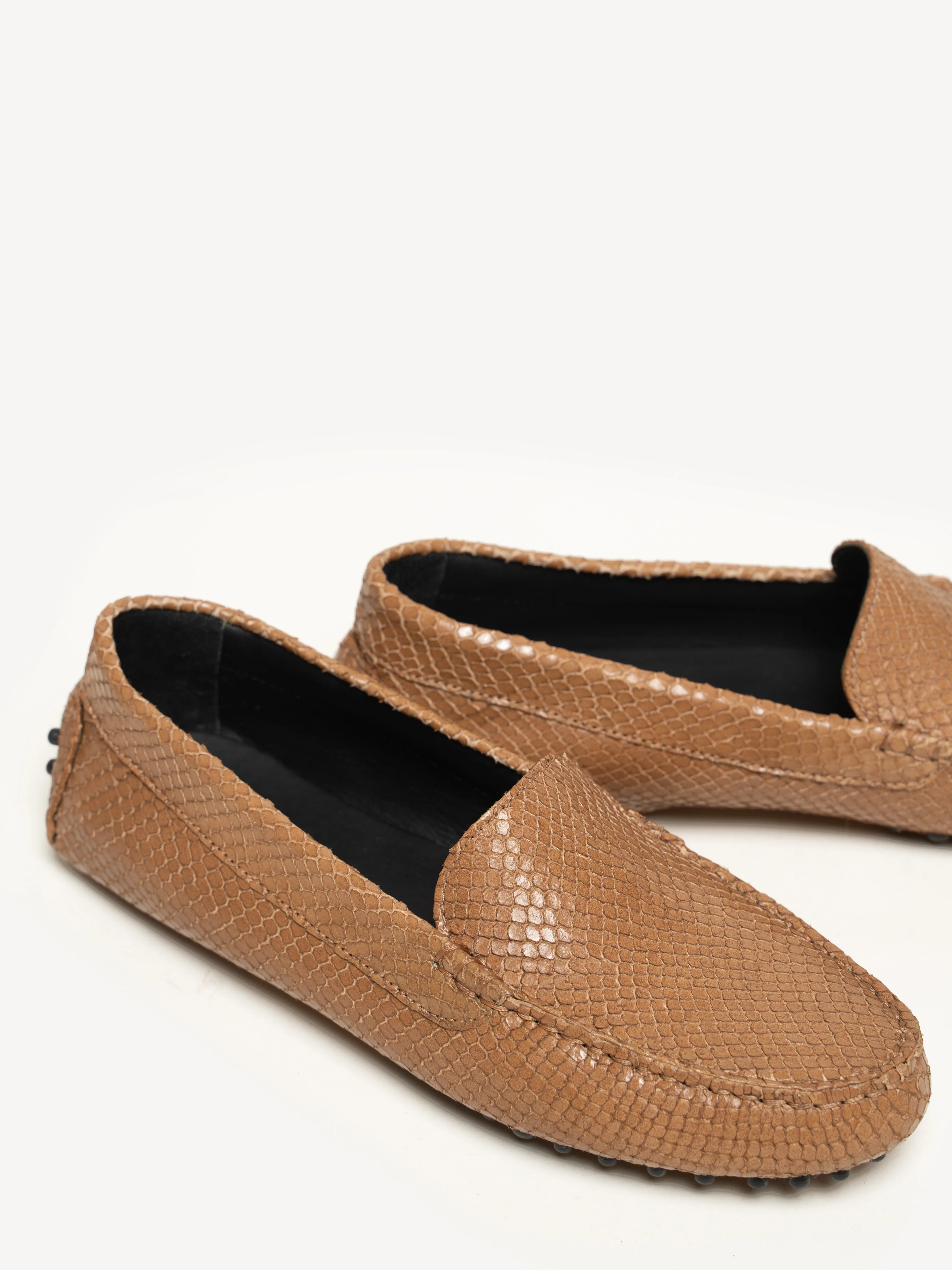 The Felize - Image 3