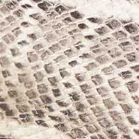 The Felize Mule - Image 5