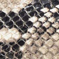 The Felize - Image 5