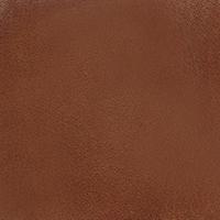 The Filare - Image 6