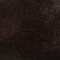 The Gregorio - Image 5