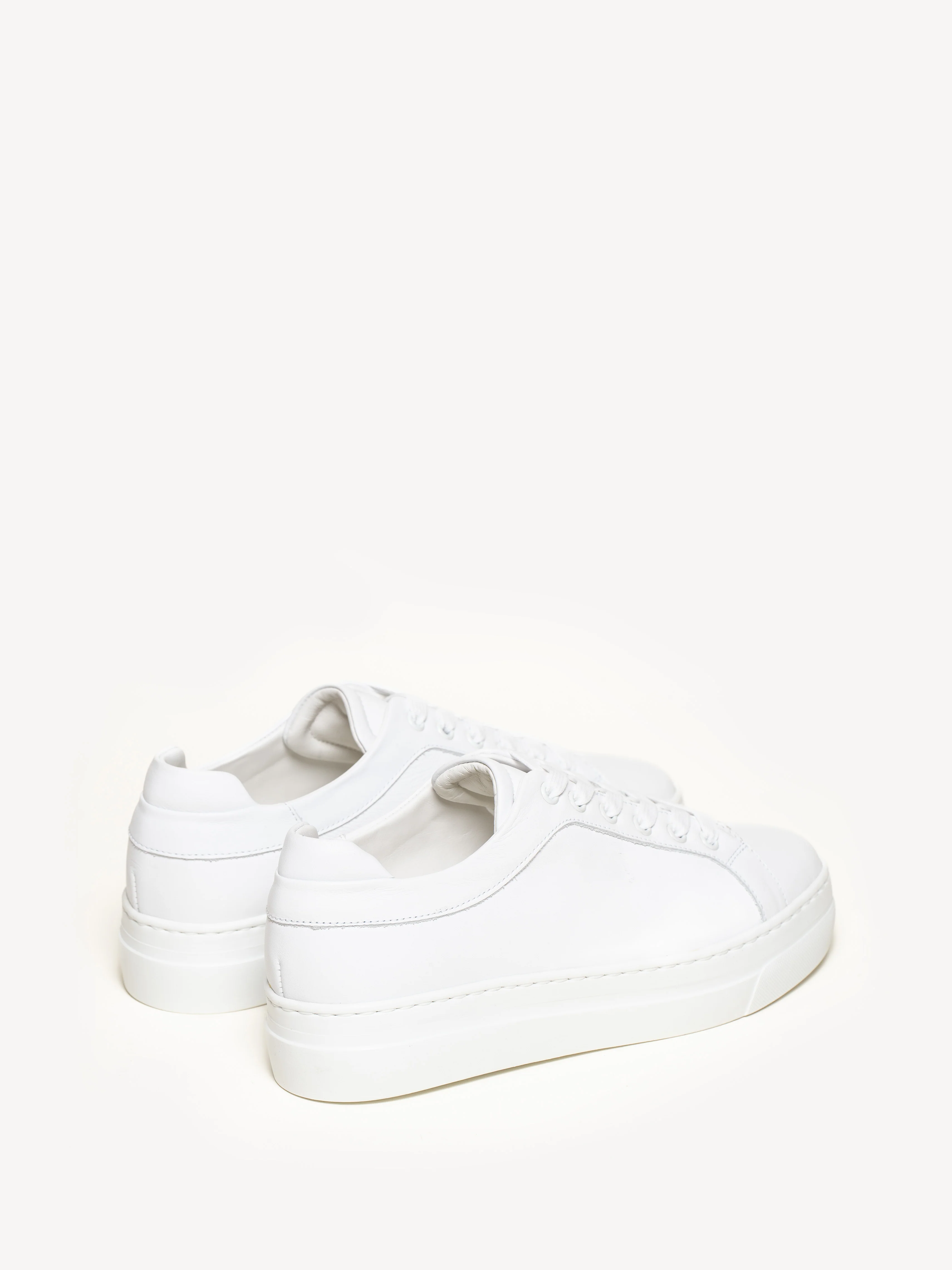 The Palestra Alta - Image 3