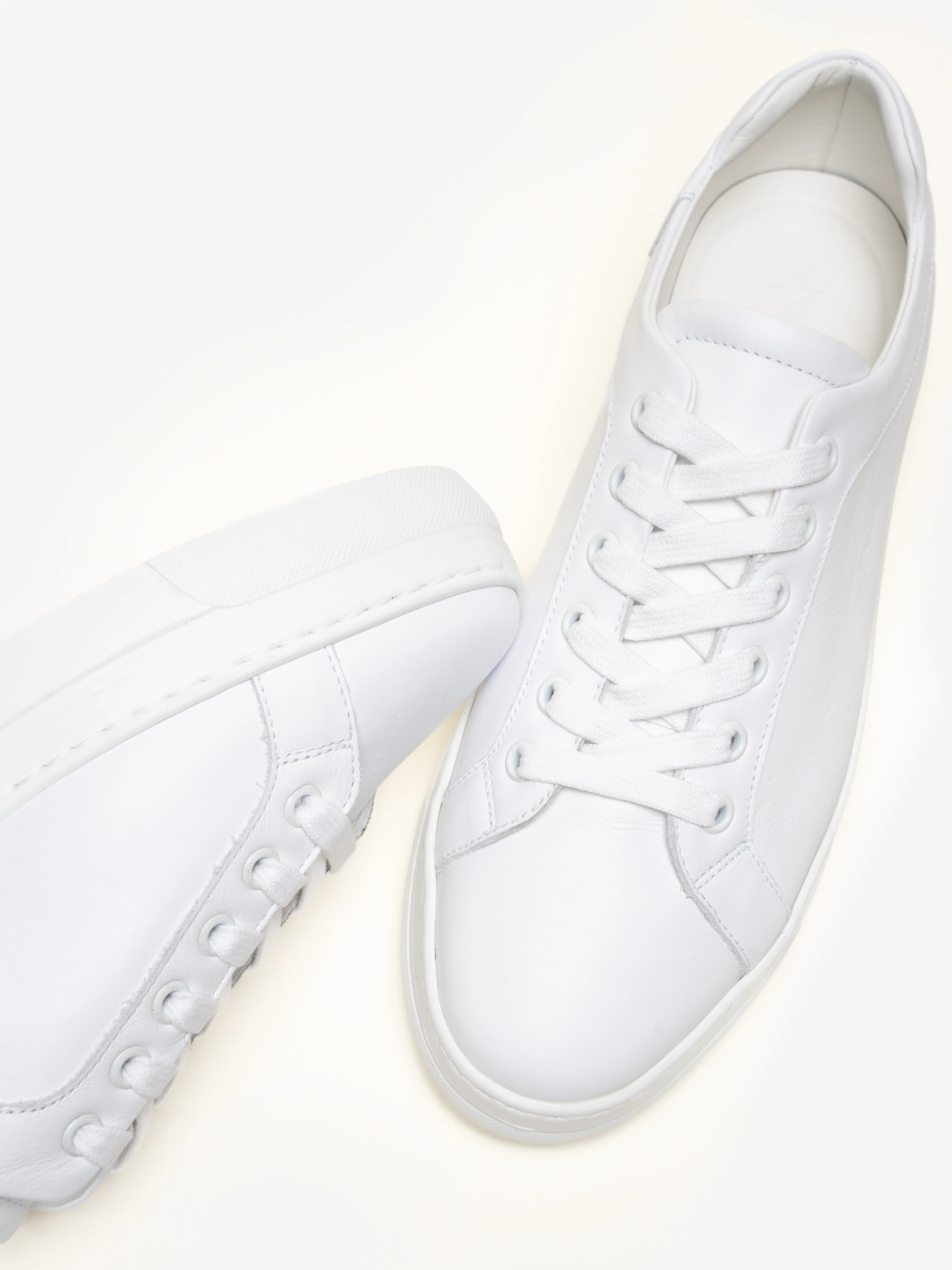 The Palestra Alta - Image 4