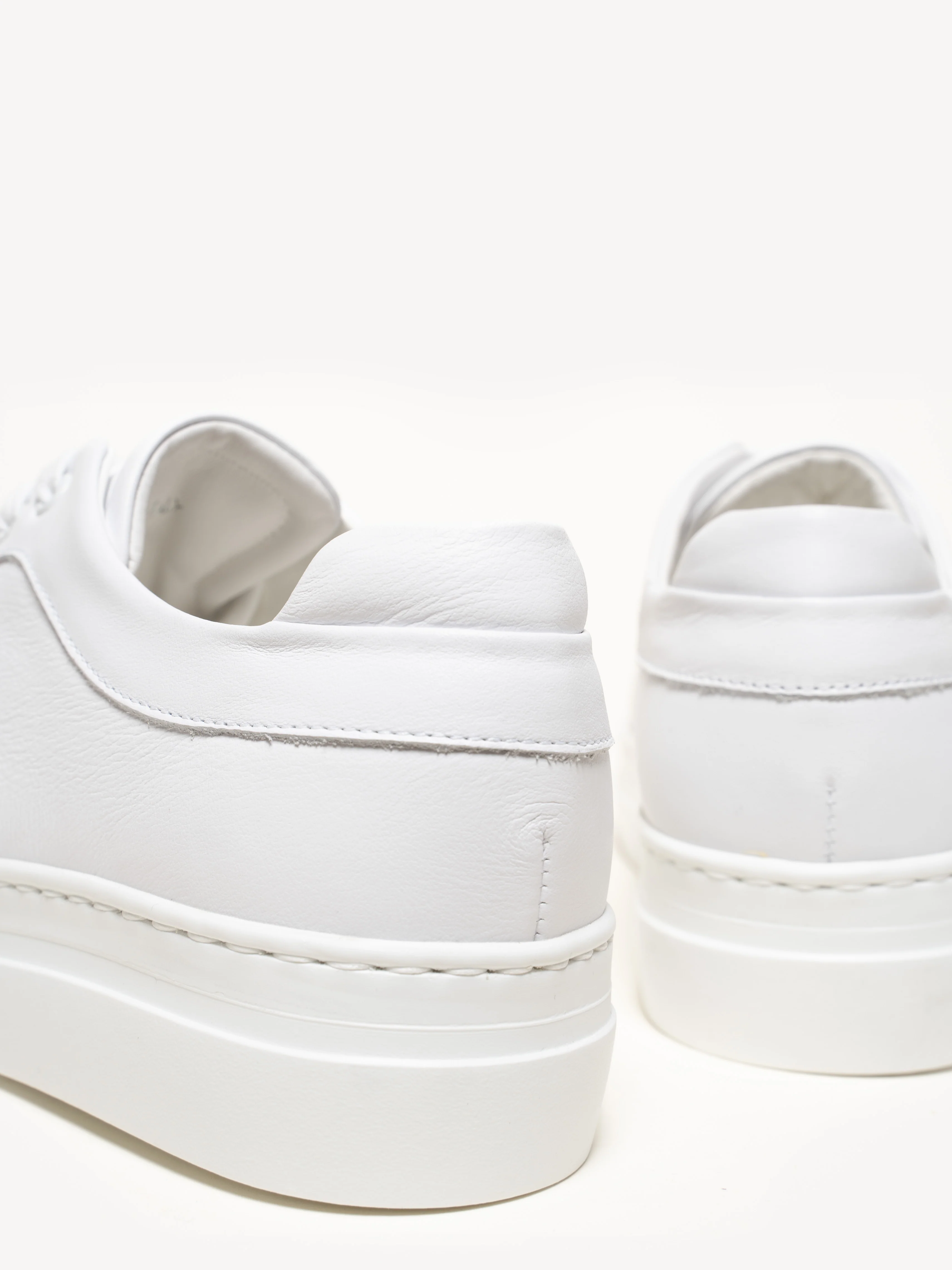 The Palestra Alta - Image 5