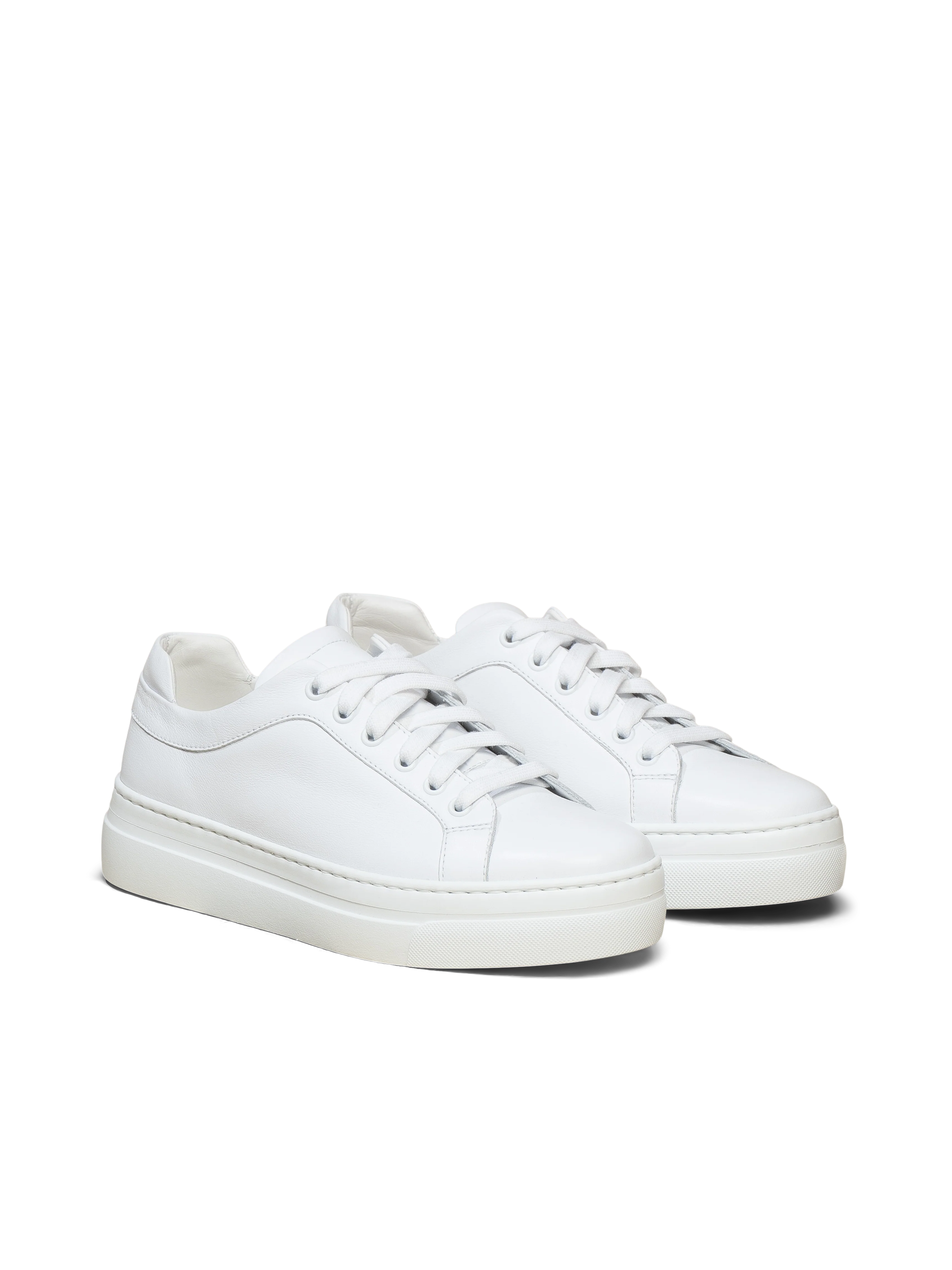 The Palestra Alta - Image 7