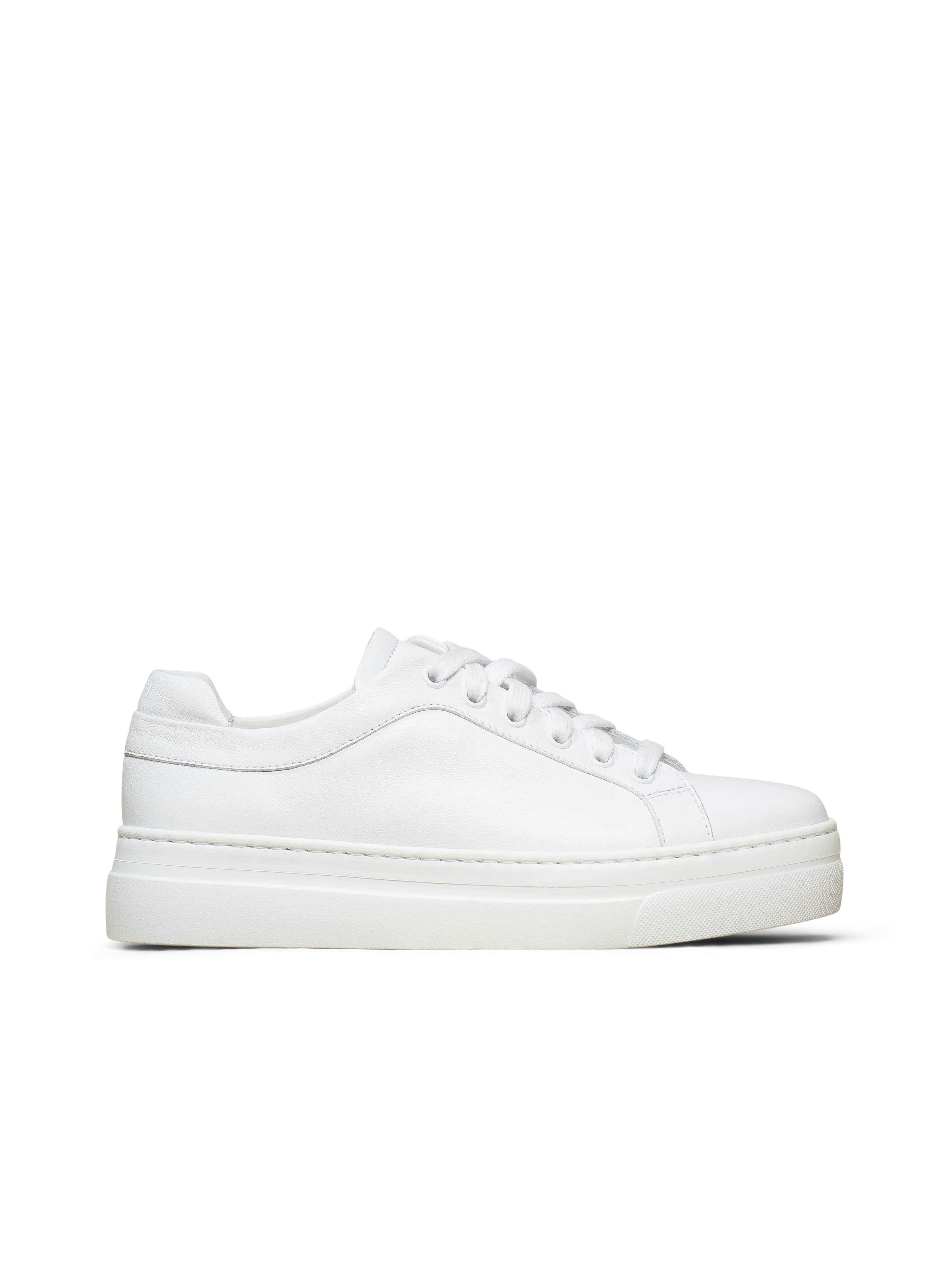 The Palestra Alta - Image 8