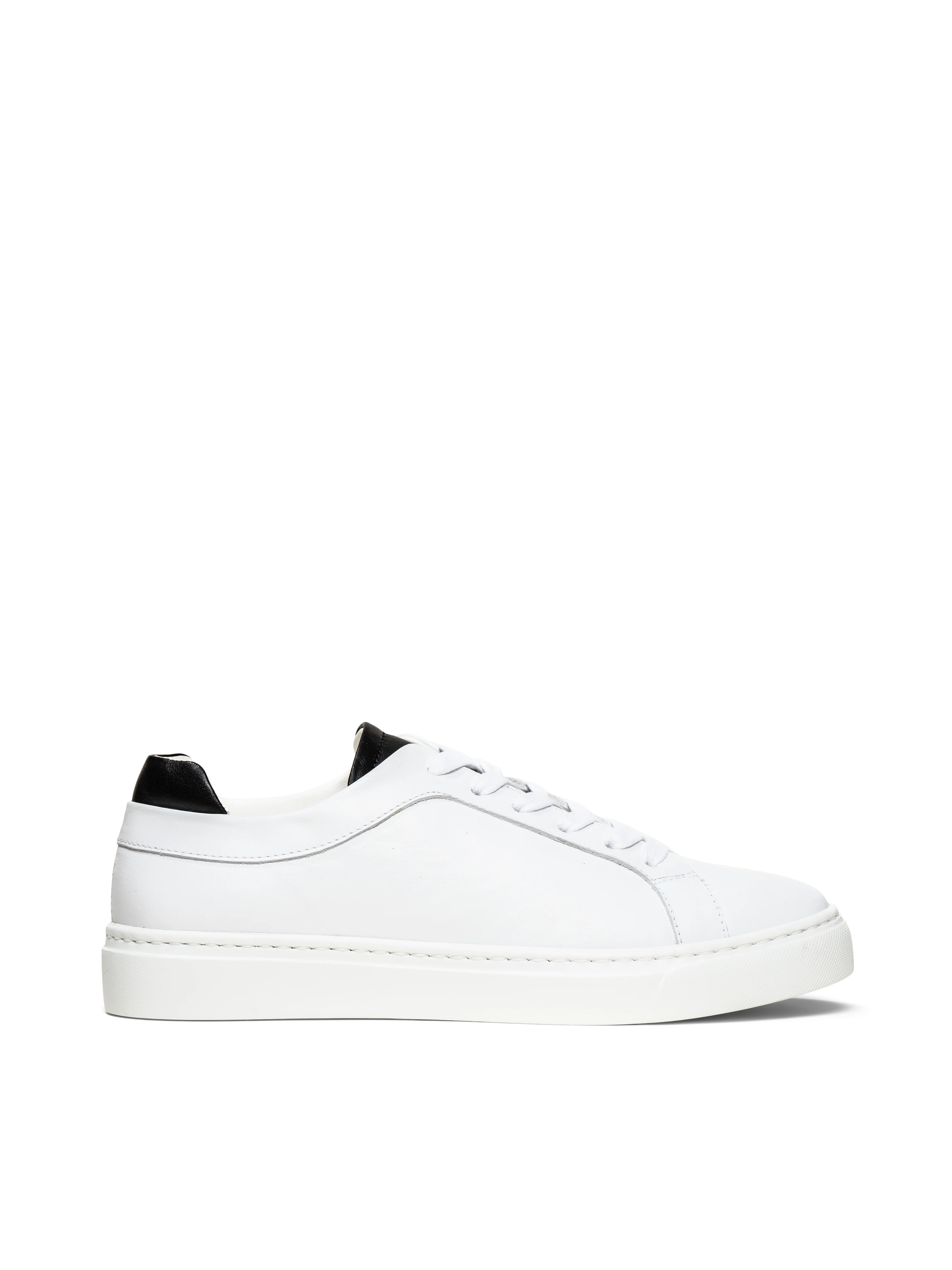 The Palestra Due - Image 9