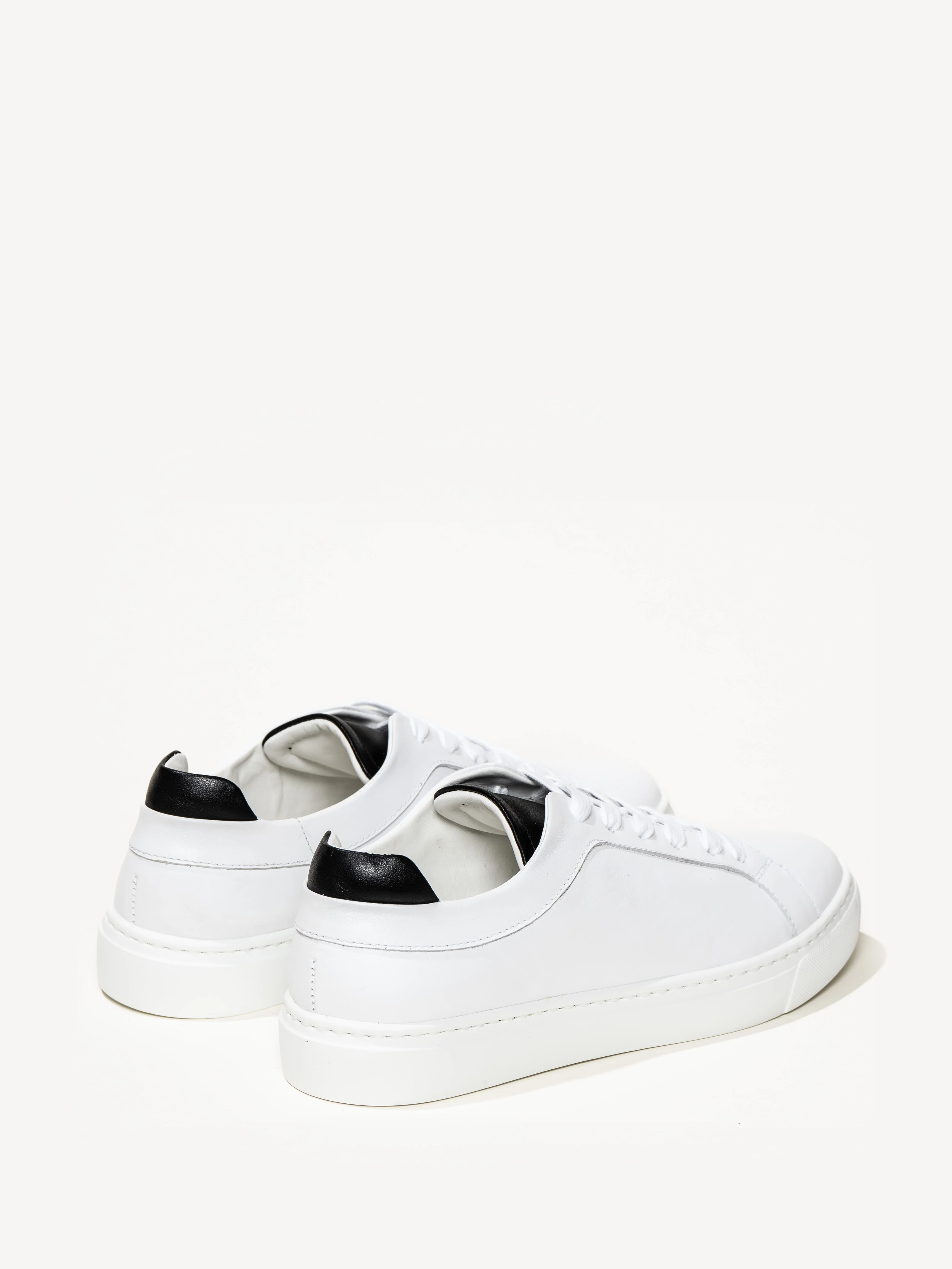 The Palestra Due - Image 3