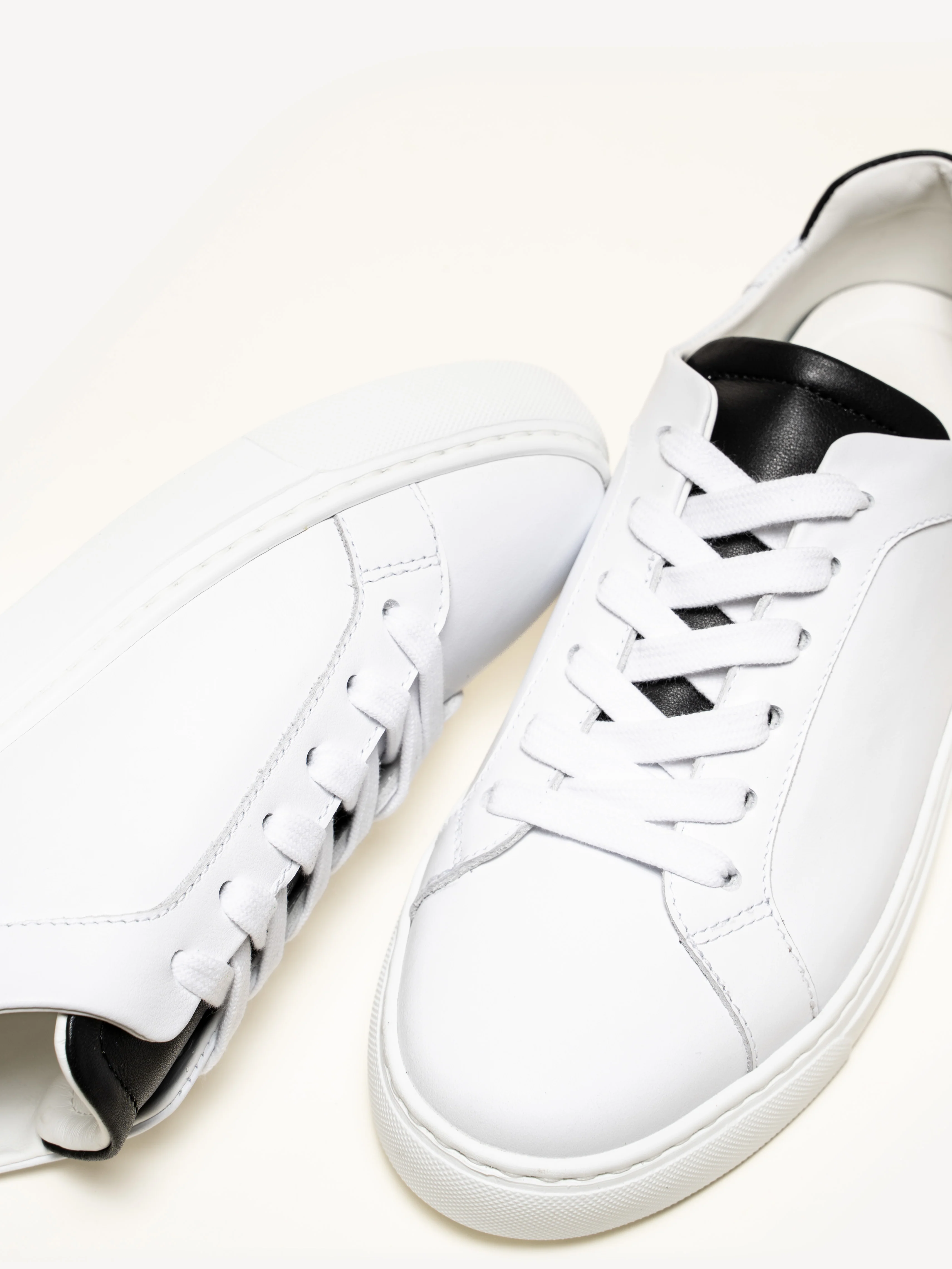 The Palestra Due - Image 4