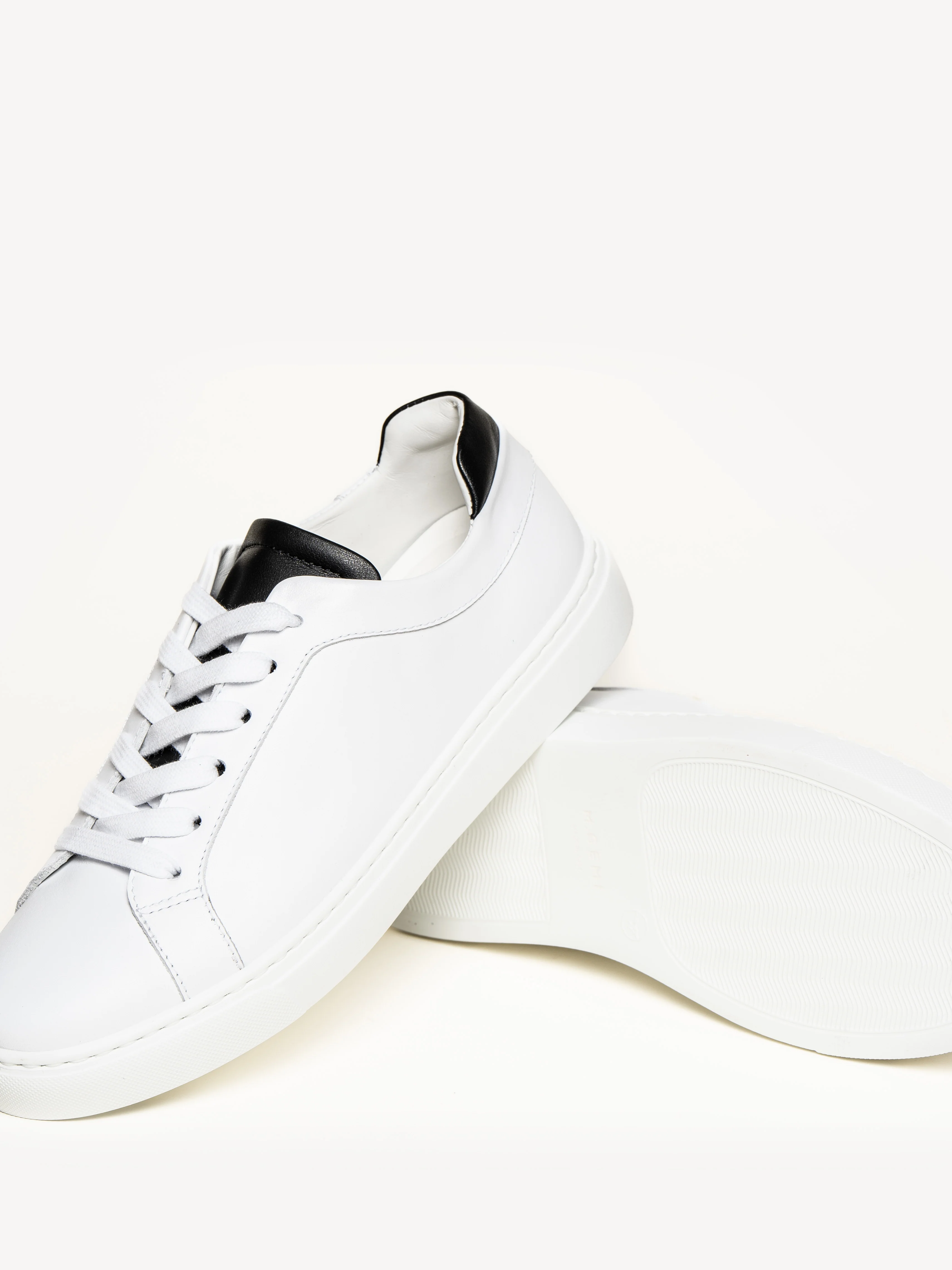 The Palestra Due - Image 5