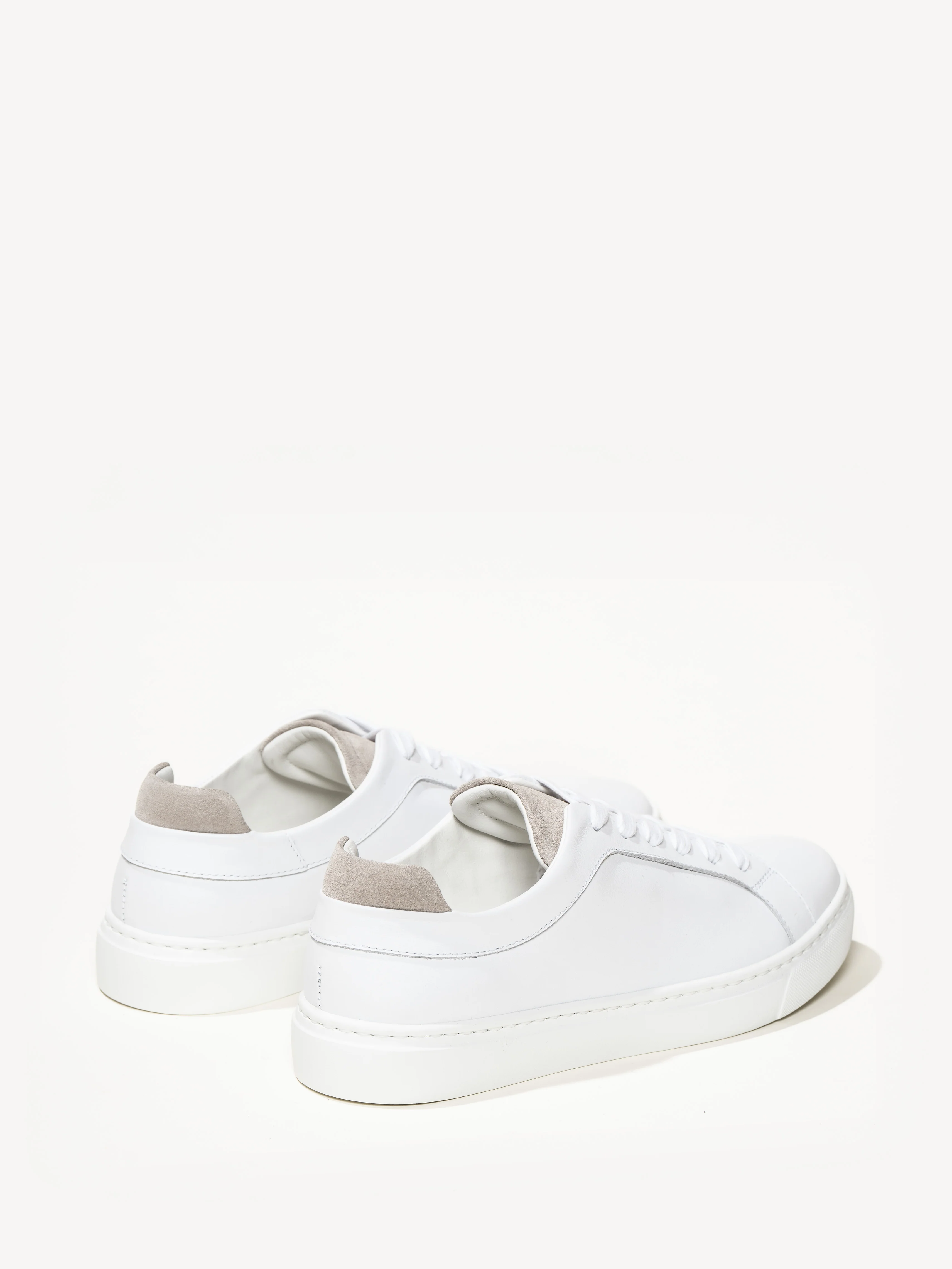 The Palestra Due - Image 3