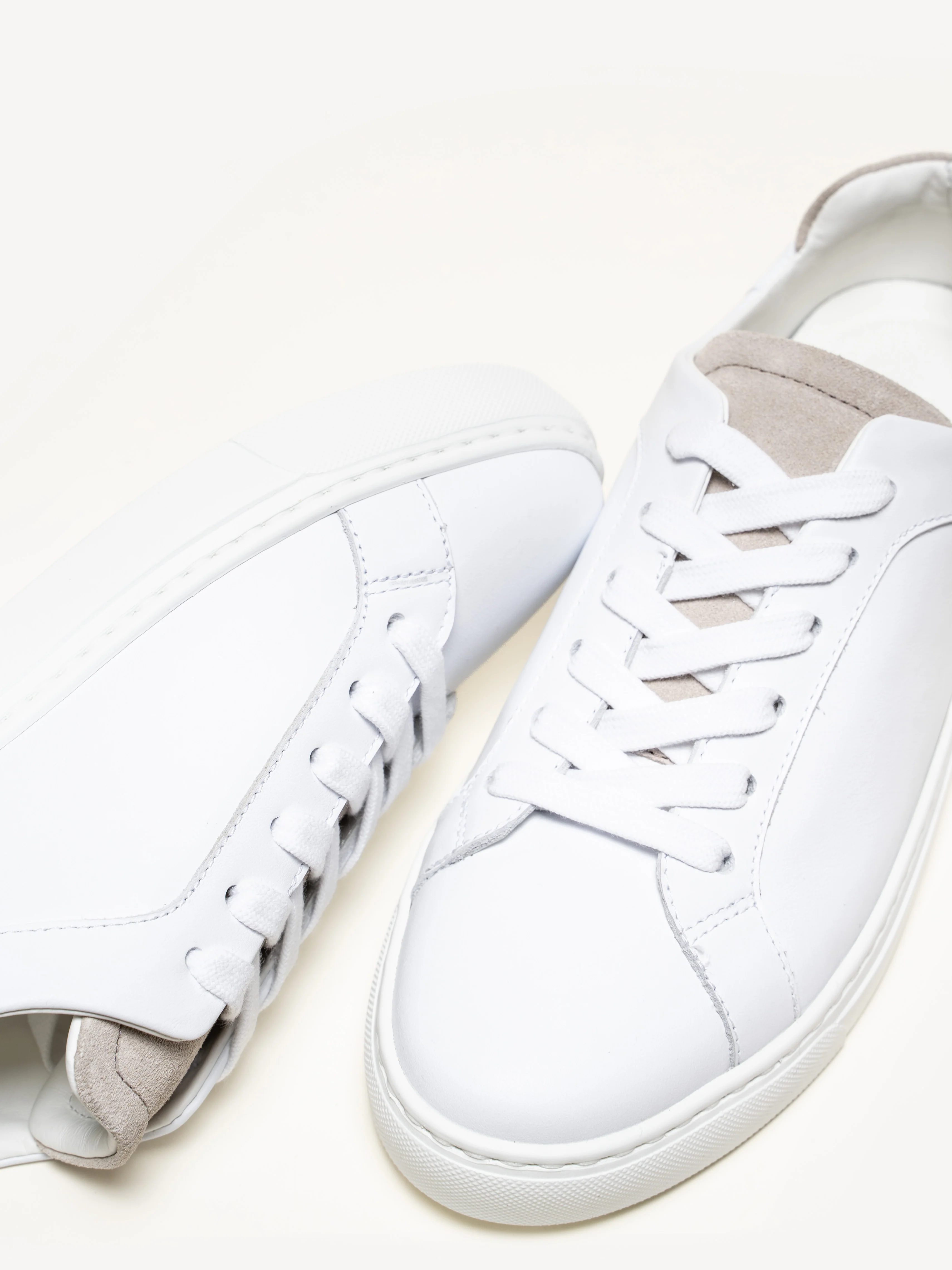 The Palestra Due - Image 4