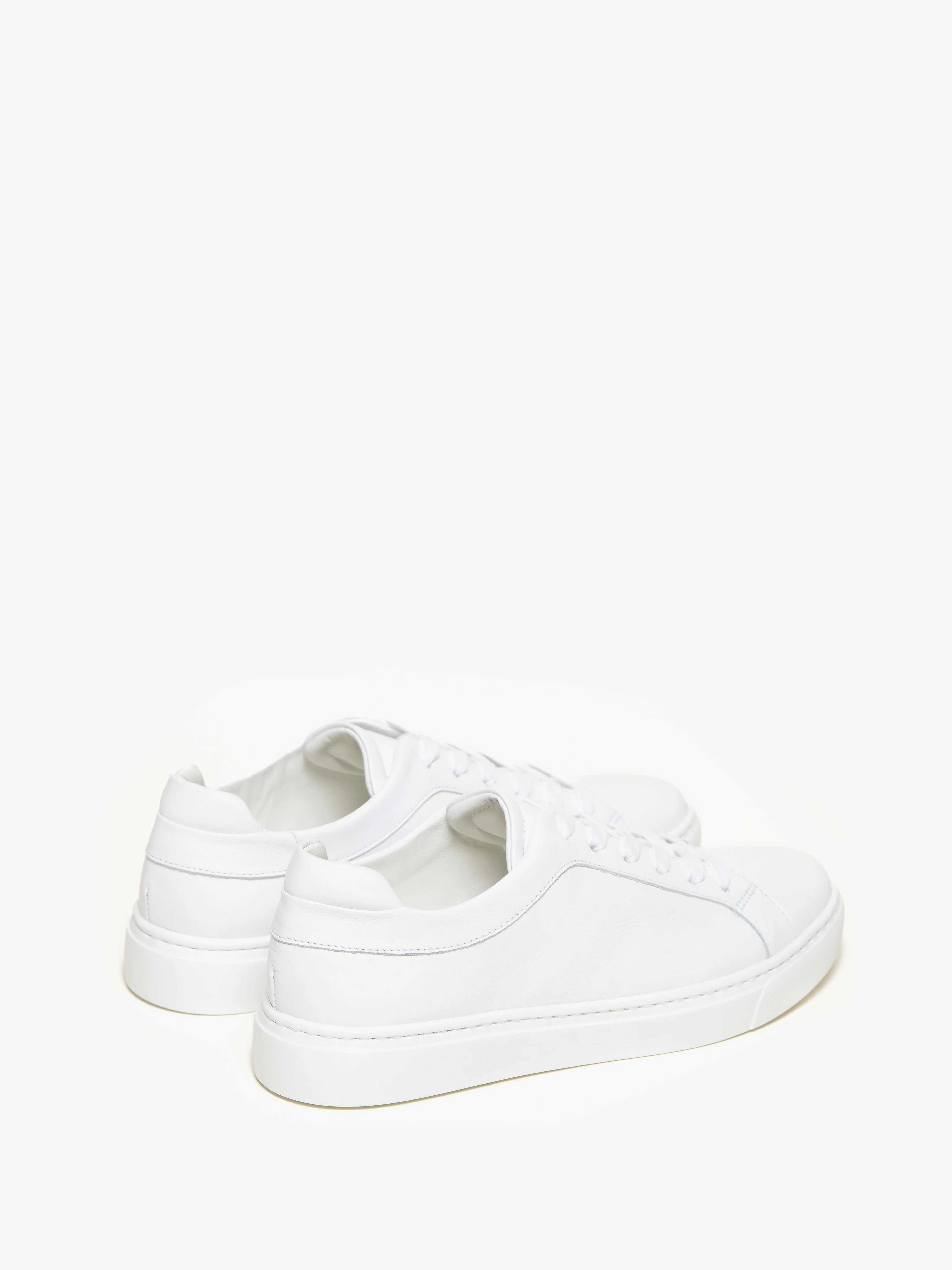 The Palestra Due - Image 3