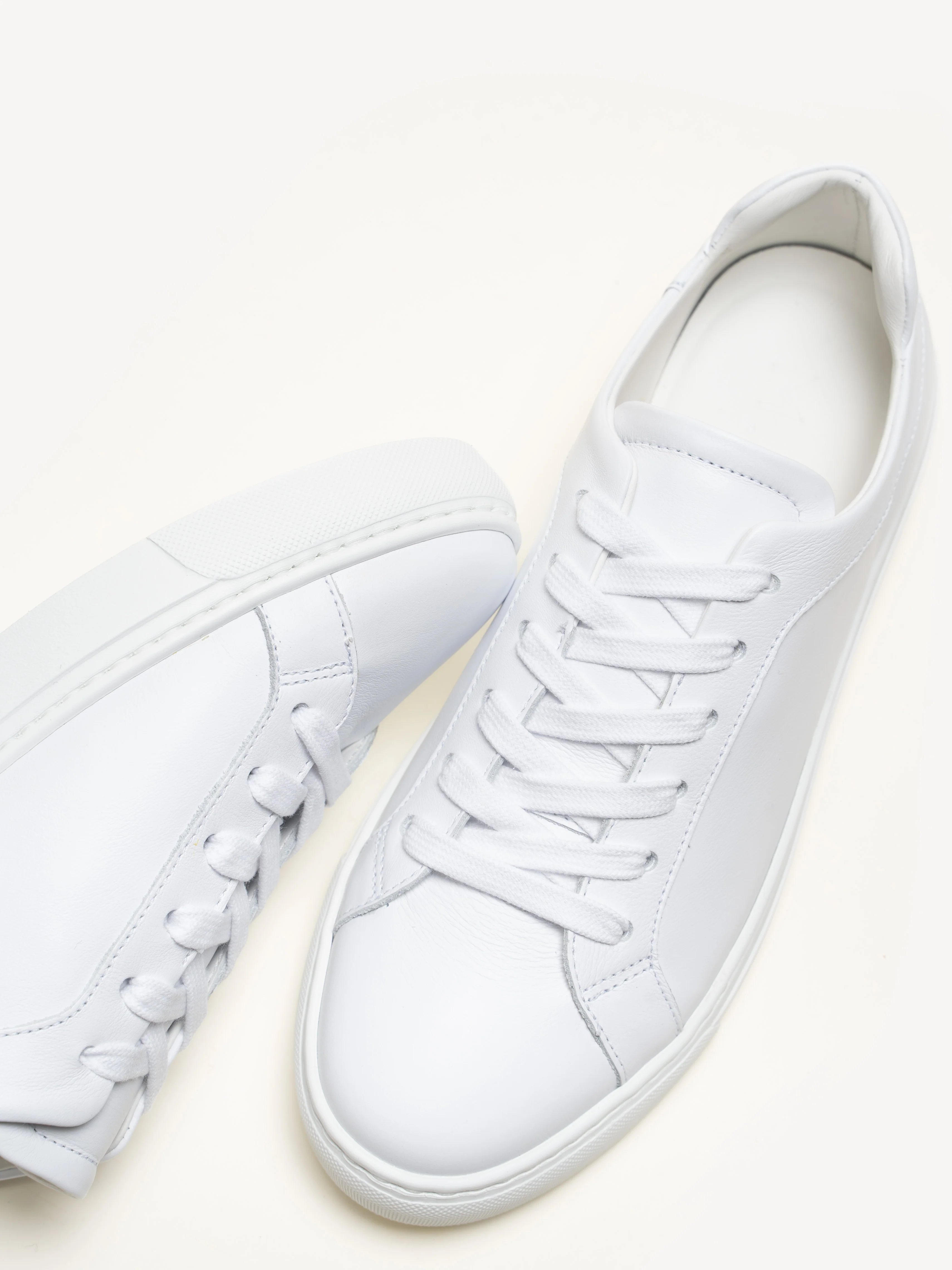 The Palestra Due - Image 4