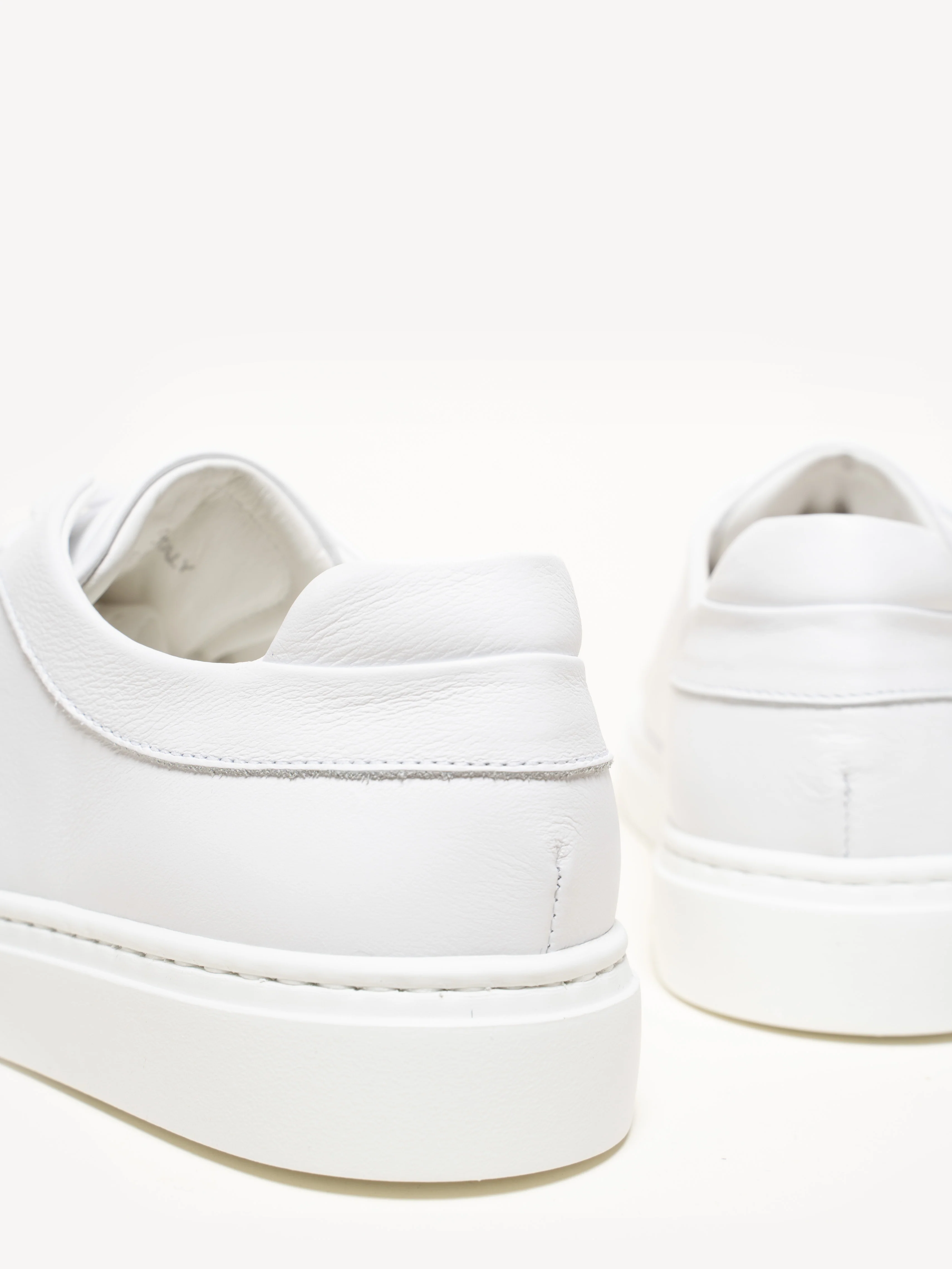 The Palestra Due - Image 5