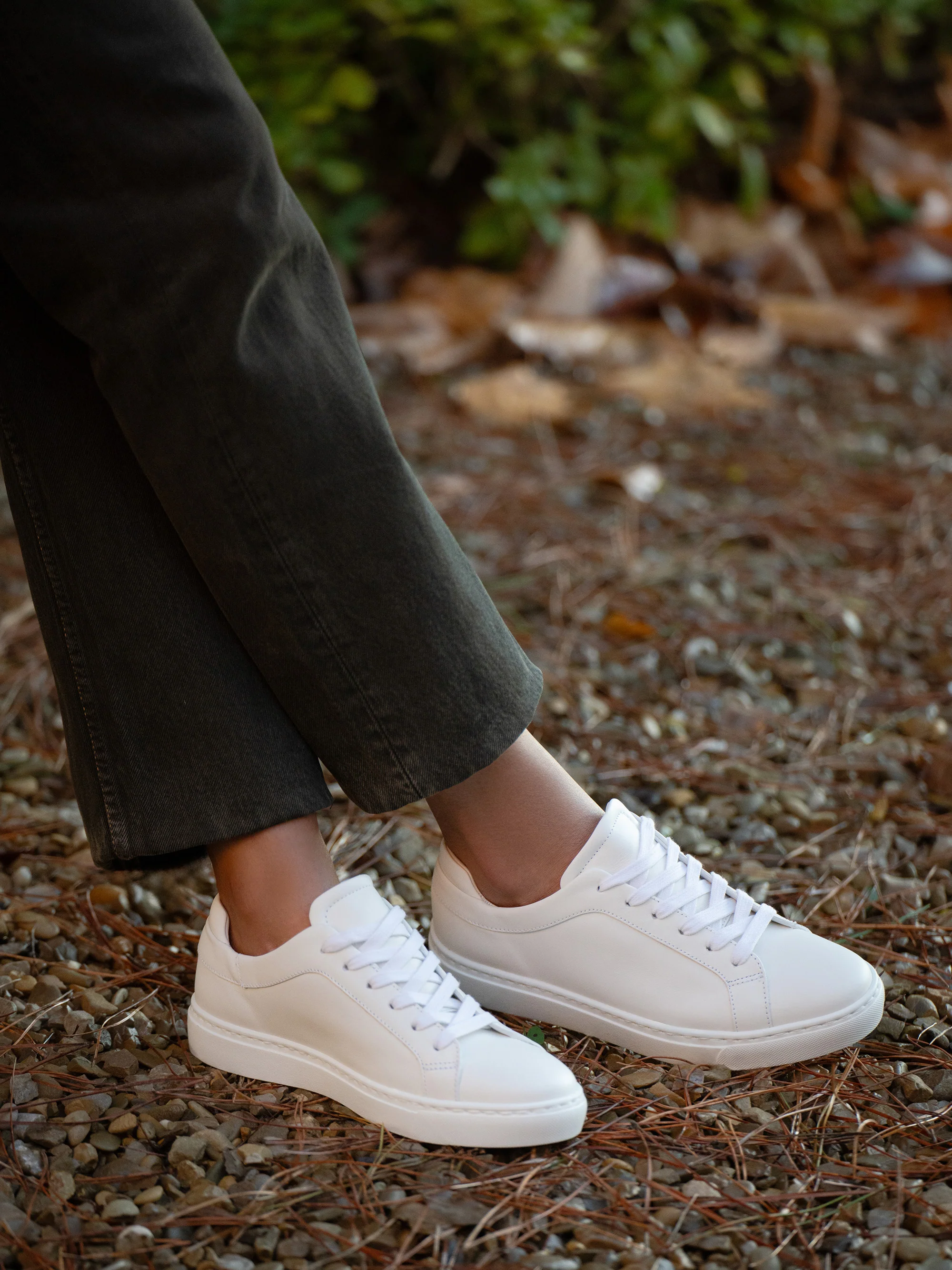 The Palestra Due - Image 6