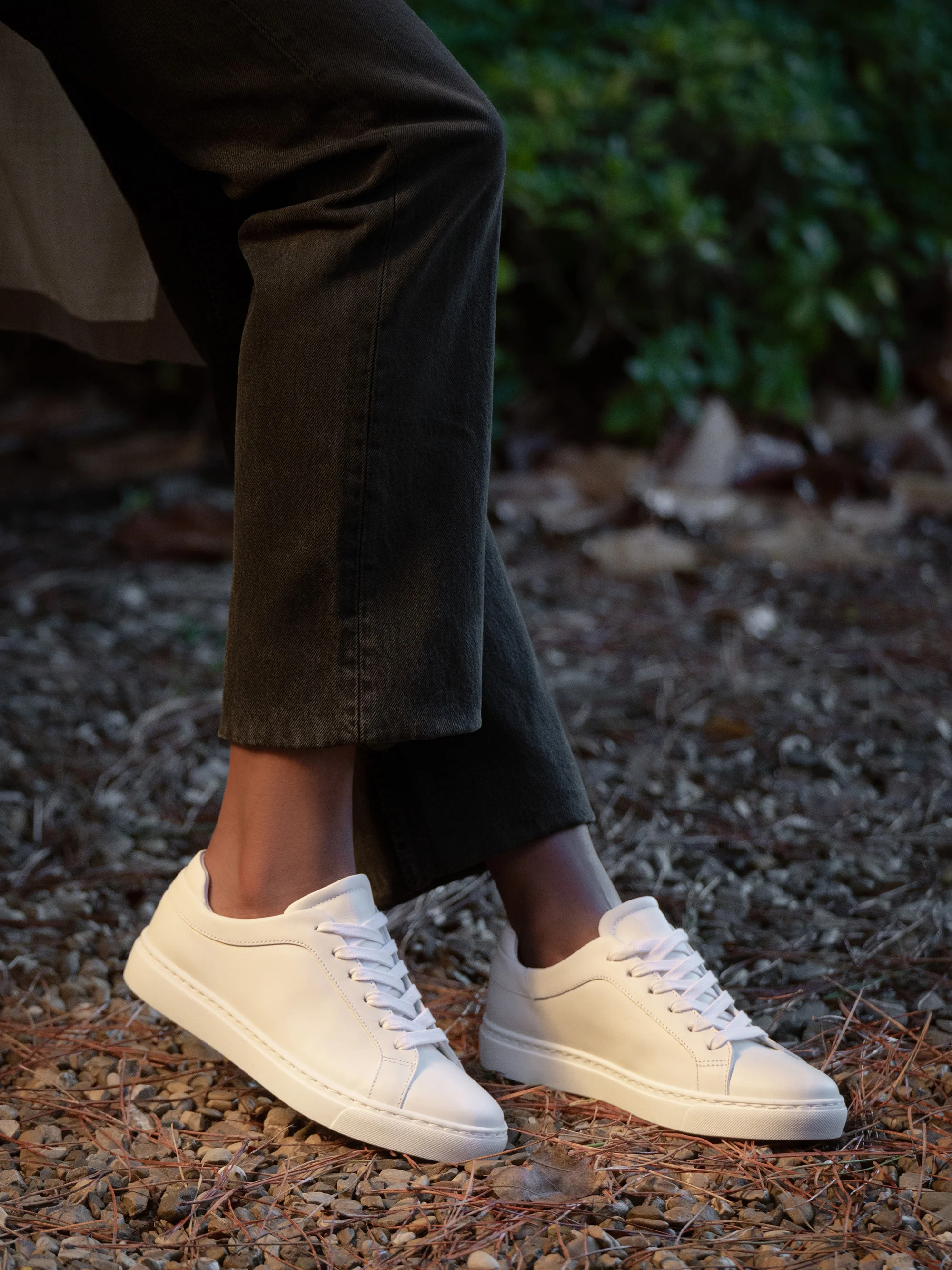 The Palestra Due - Image 7