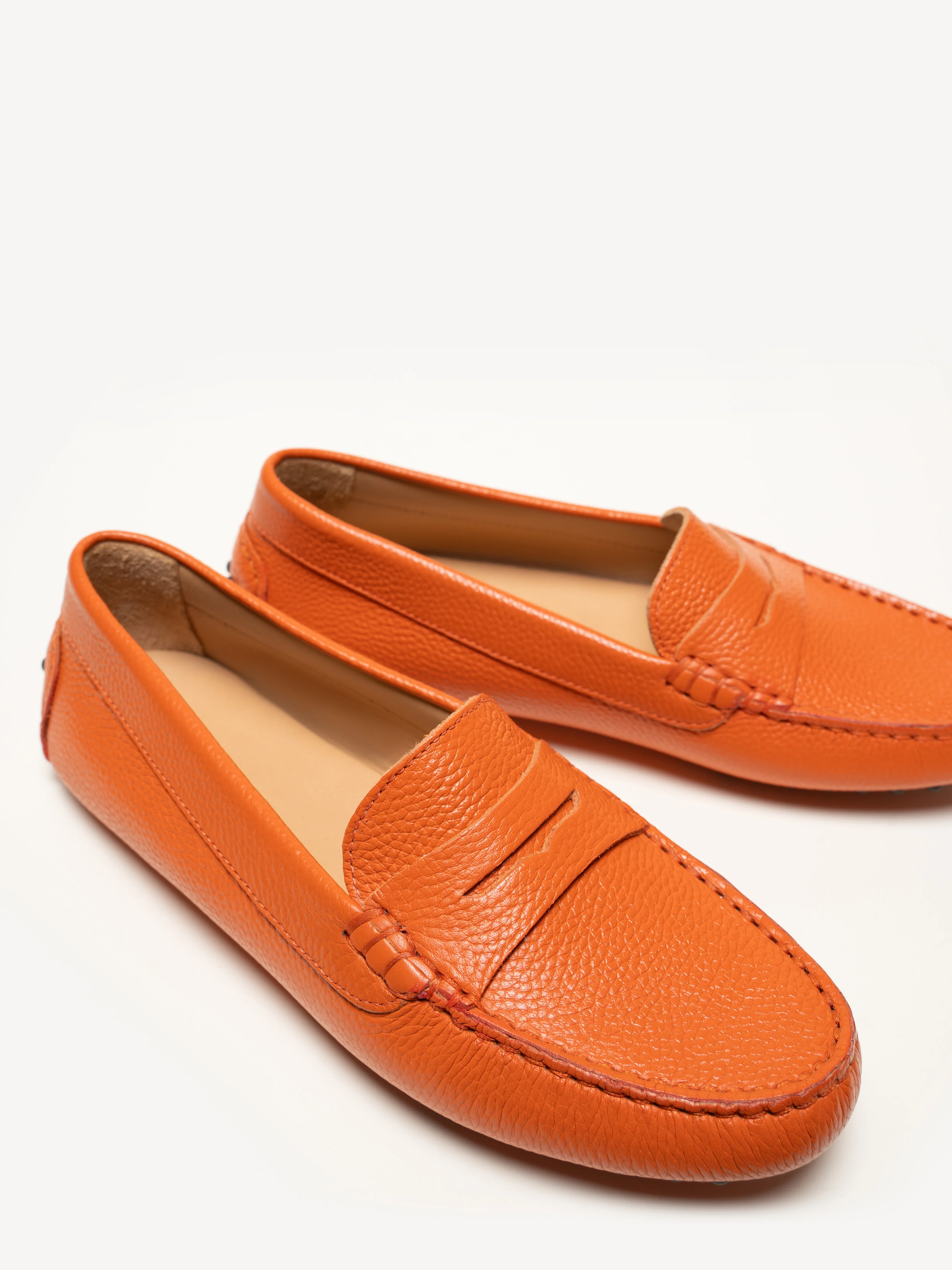 The Pastoso - Image 3