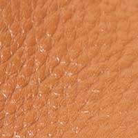 The Pastoso - Image 5