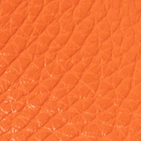 The Pastoso Uomo - Image 5