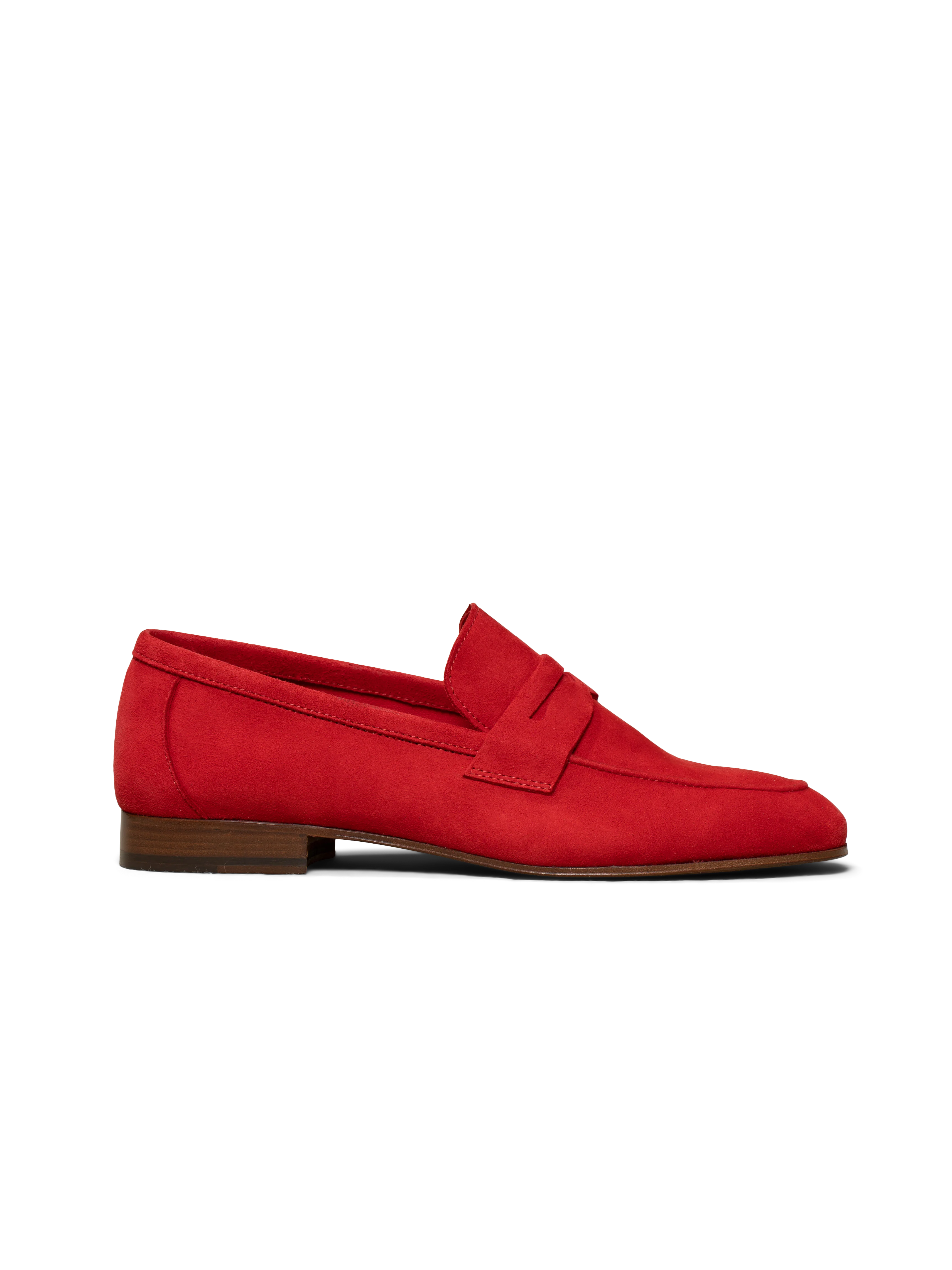 The Sacca Donna - Image 7